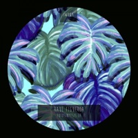 Fotosintesis EP - Raul Figueroa