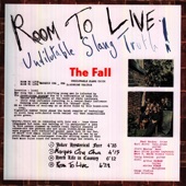 The Fall - Fantastic Life