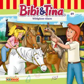 Bibi & Tina, Folge 89: Wildgänse-Alarm