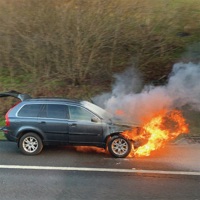 Last Puzzle Piece - Single - LOVER