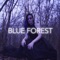 Blue Forest - Ephra lyrics