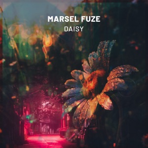 Daisy - Single