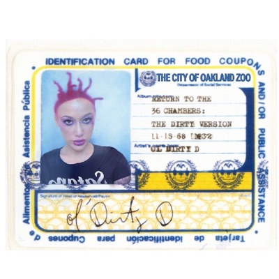 Food Stamps - Single