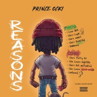 Reasons (Radio Edit) - Single - Prince Ocki