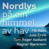 Nordlys på ein himmel av hav (feat. Julie Ervik) - Single - Ragnar Bjerkreim