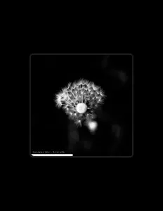 Gonzalez (Mx) dinle, müzik videolarını izle, biyografisini oku, tur tarihlerini ve daha fazlasını gör!