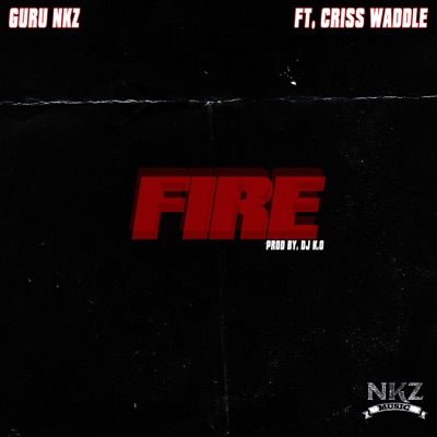 Fire (feat. Criss Waddle) - Single