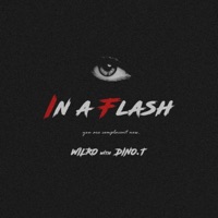 In a Flash - Single - WILRO