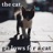 The Cat