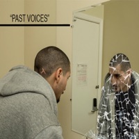 Past Voices - Single - Steadfast Raw