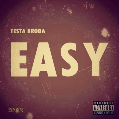 Easy (feat. Metro Bobo) - Single