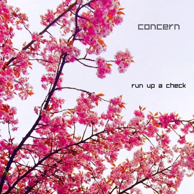 Run Up a Check - Single