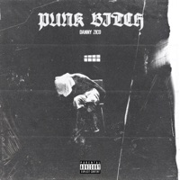 Punk Bitch - Single - Danny Zico