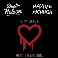 You Never Loved Me - Single - Hayden McHugh & Dustin Nelson