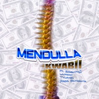 Mendulla (feat. Bright-D, Livforit & Tyleven) - Single - Kwabii