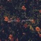 Persevere - Zambroa lyrics