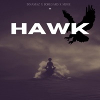 Hawk (feat. Boregard. & M.Roe) - Single - InnaMaz