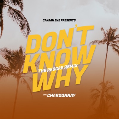 Don't Know Why (Reggae Remix) - Single