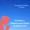 Oraciones y Alabanzas Que Llegan al Alma, Vol. 15