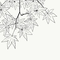 Listening to the Leaves Fall - Single - Oatmello