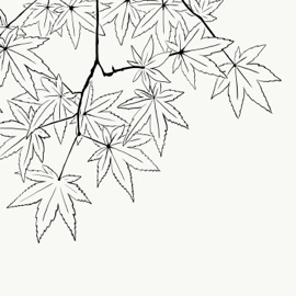 Perspective Oatmello