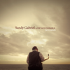 Jazzeando - Sandy Gabriel & Pop Jazz Ensemble