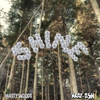 SHINE (feat. Matty Wood$) - Single - Xray-Ash