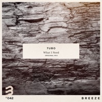 What I Need - Single - 7UBO