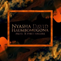 Haumbomugona - Single - Nyasha David