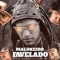 Malokeiro Favelado - Mc Nathan ZK lyrics