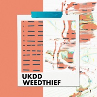 Felt Flowers - Single - Weedthief & UKDD