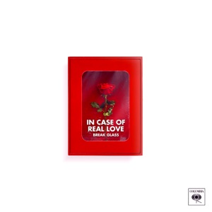 Real Love (feat. Stevie Appleton)