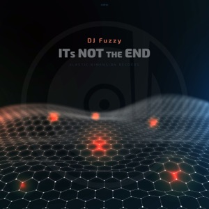 It's Not the End - Single