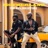 Motherland (feat. ManLikeStunna)