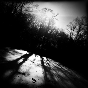 Thylacine - Single