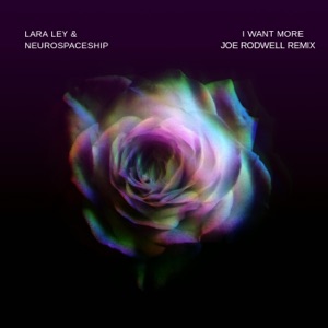 I Want More (feat. Joe Rodwell) [Joe Rodwell Remix]