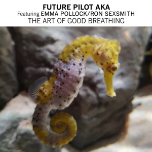 The Art of Good Breathing (feat. Emma Pollock & Ron Sexsmith) - Single