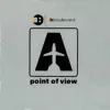 Point Of View (Radio Edit)