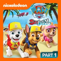 paw patrol sea patrol everest
