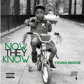 Militant (feat. Bandhunta Izzy) Young Moose