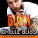 Chelle Bliss - Burn: Men of Inked: Heatwave, Book 2 (Unabridged)