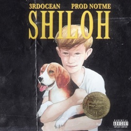 Shiloh 3rdOcean