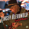 Linsey Alexander - Live at Rosa's kunstwerk