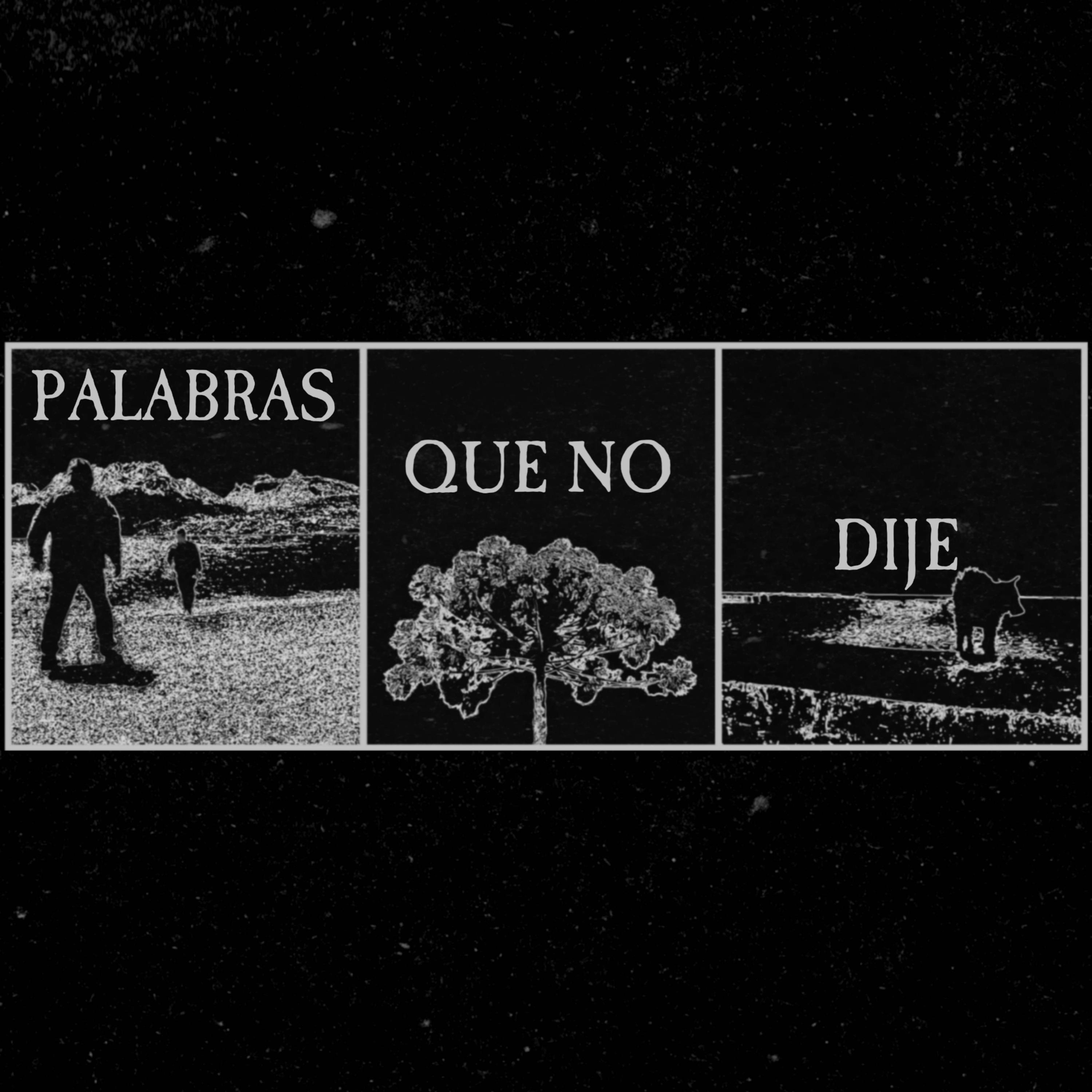 Justo Llecllish M. - mAxima 4