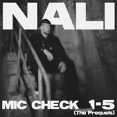 Mic Check 1-5 (The Prequels) - EP artwork