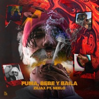 Fuma, Bebe y Baila (feat. Neelo) - Single - Ziliax
