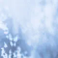 Snowfall