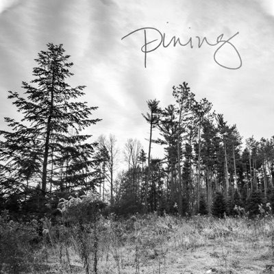 Pining (Instrumental) - Single