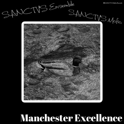 Manchester Excellence - Single