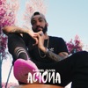 Aciona - Single